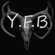 Y.F.B