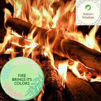 Fire Brings its Colors