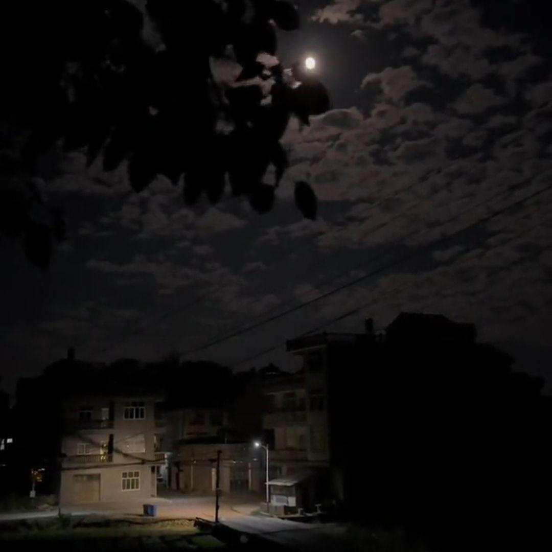 纯音乐Donawhale - Echo