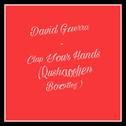 David Guetta -Clap Your Hands (曲少臣 Bootleg)专辑