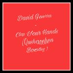 David Guetta -Clap Your Hands (曲少臣 Bootleg)专辑