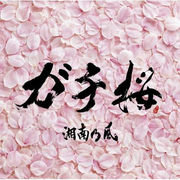 ガチ桜专辑