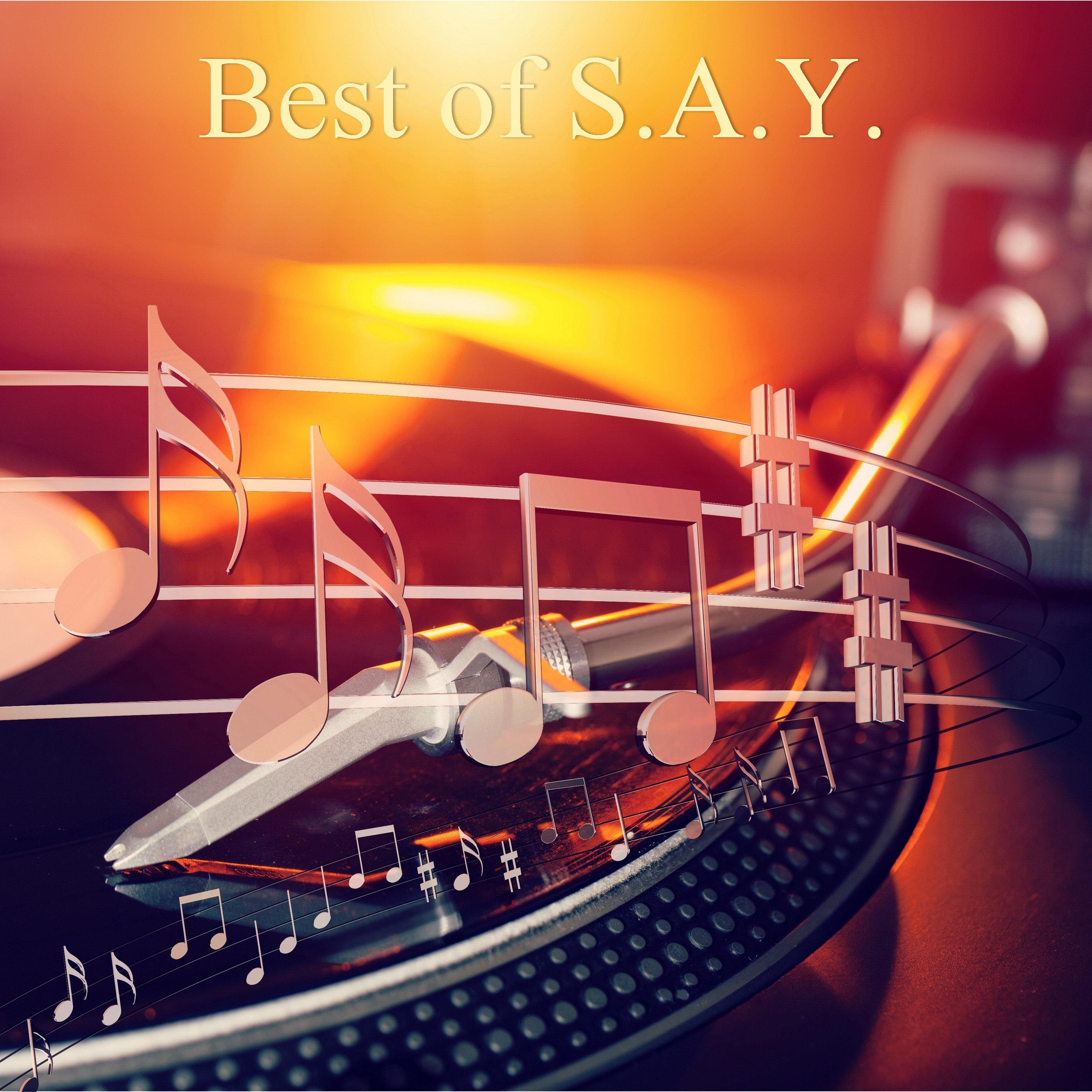 Best of S.A.Y.