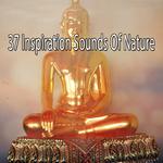 37 Inspiration Sounds Of Nature专辑