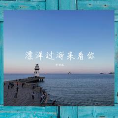 漂洋过海来看你 - 小提琴版