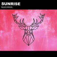 Moon & Sunrise(绝对原版)