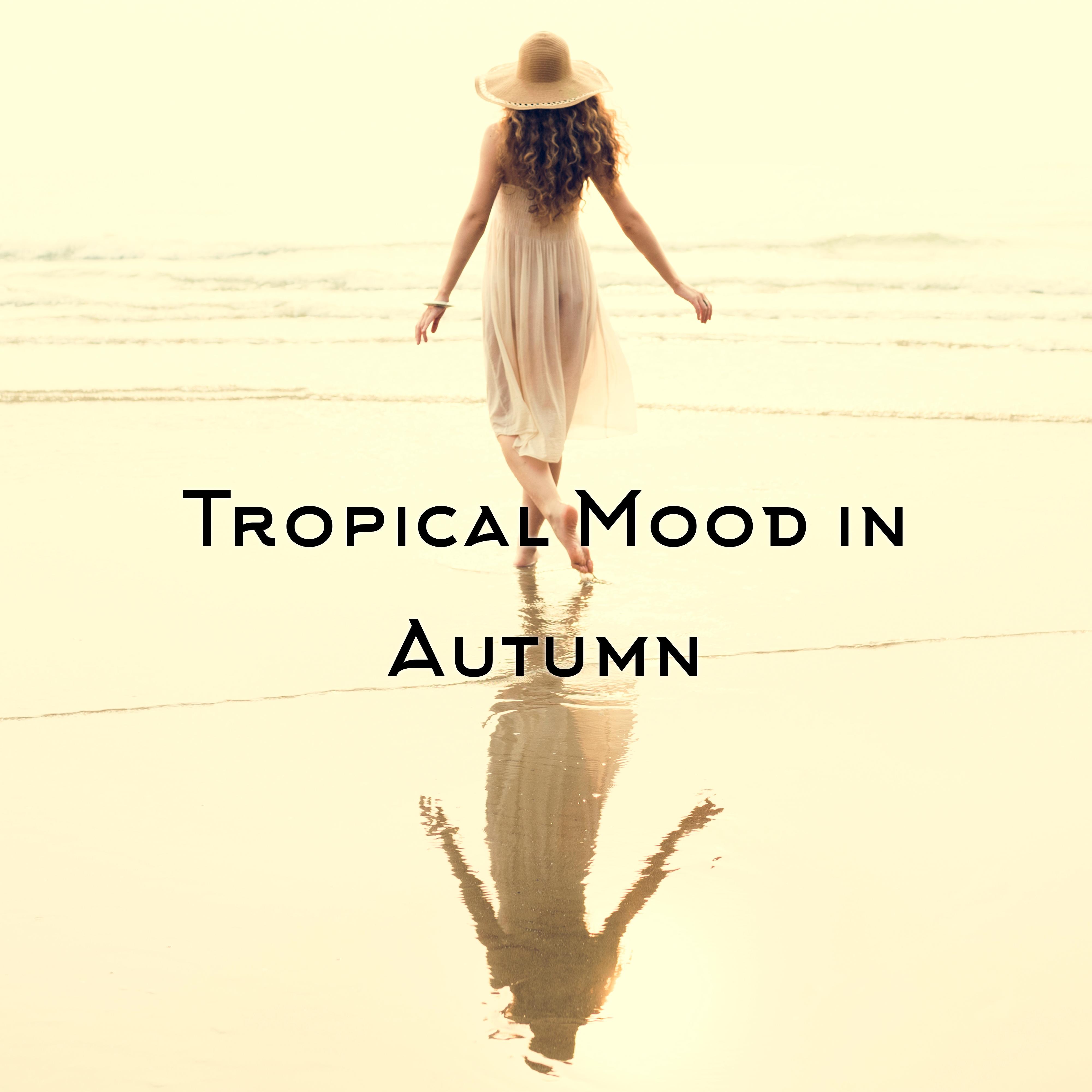 Tropical Mood in Autumn - Total Chill, Home Blissful Rest, Lazy Day, Summer Memories, Tropical Chill Out Vibes