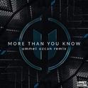 More Than You Know (Ummet Ozcan Remix)专辑