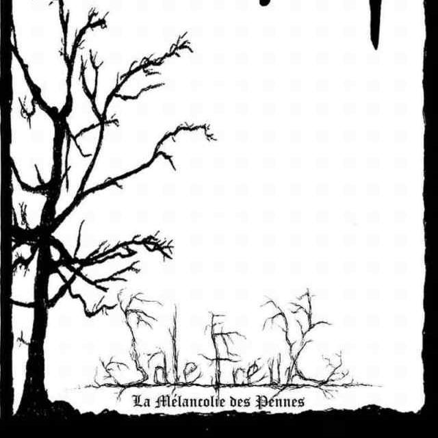 La Mélancolie Des Pennes