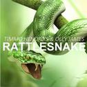 Rattlesnake专辑