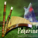 Panflute Melodies专辑