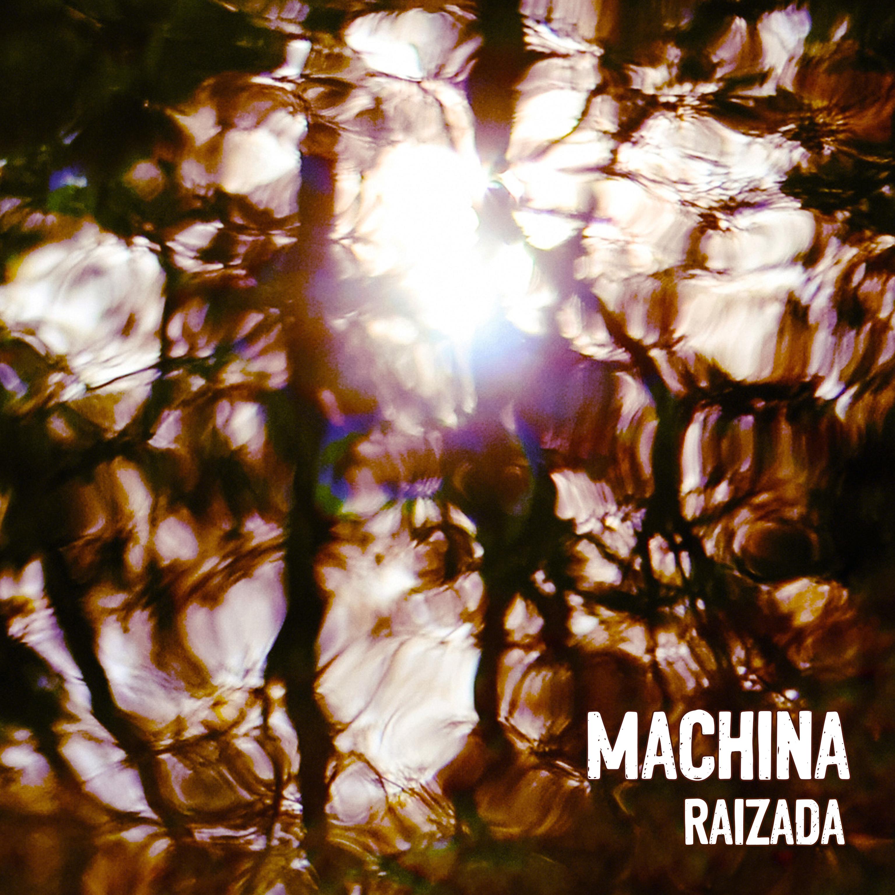 Raizada