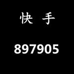 快手897905专辑