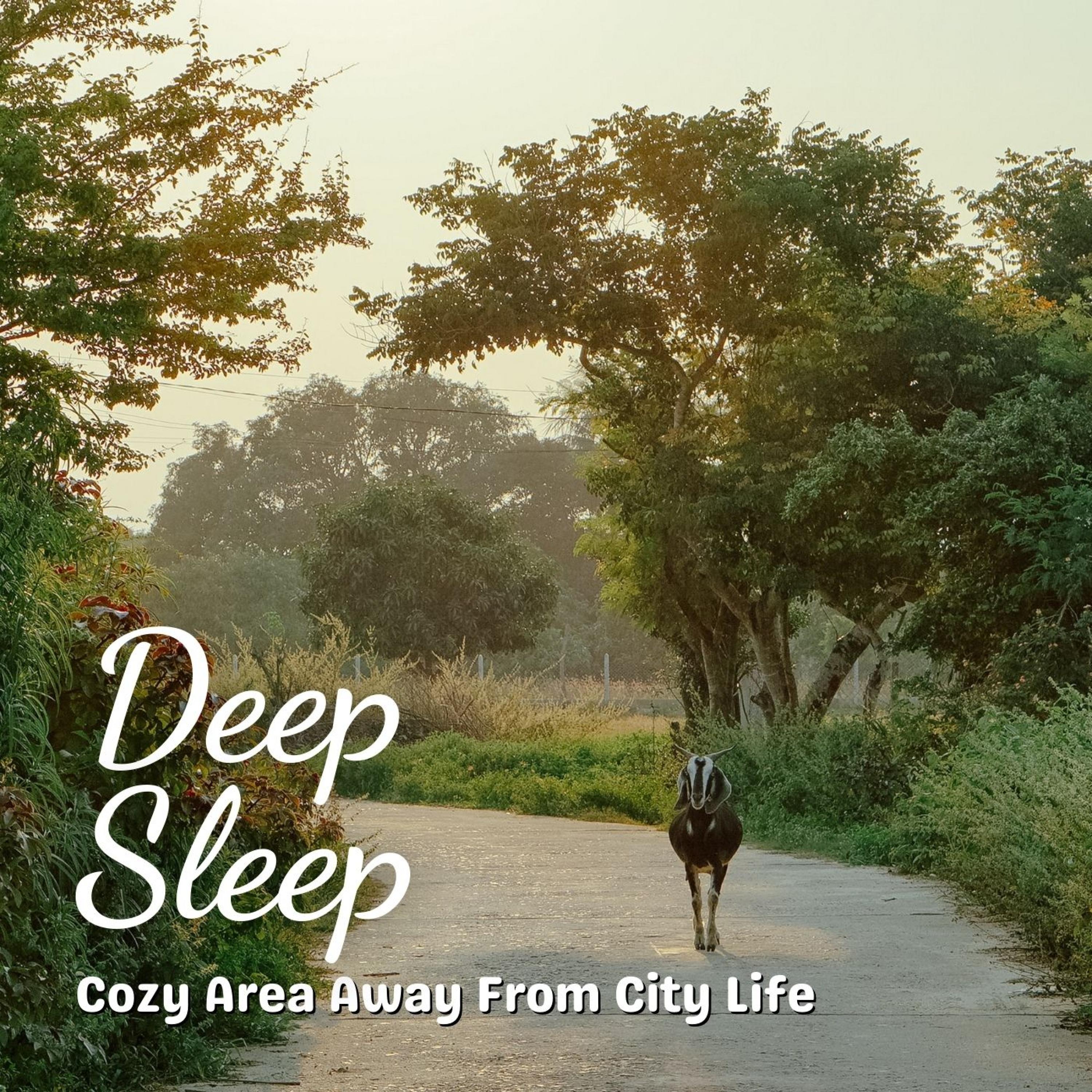 Deep Sleep: Cozy Area Away From City Life