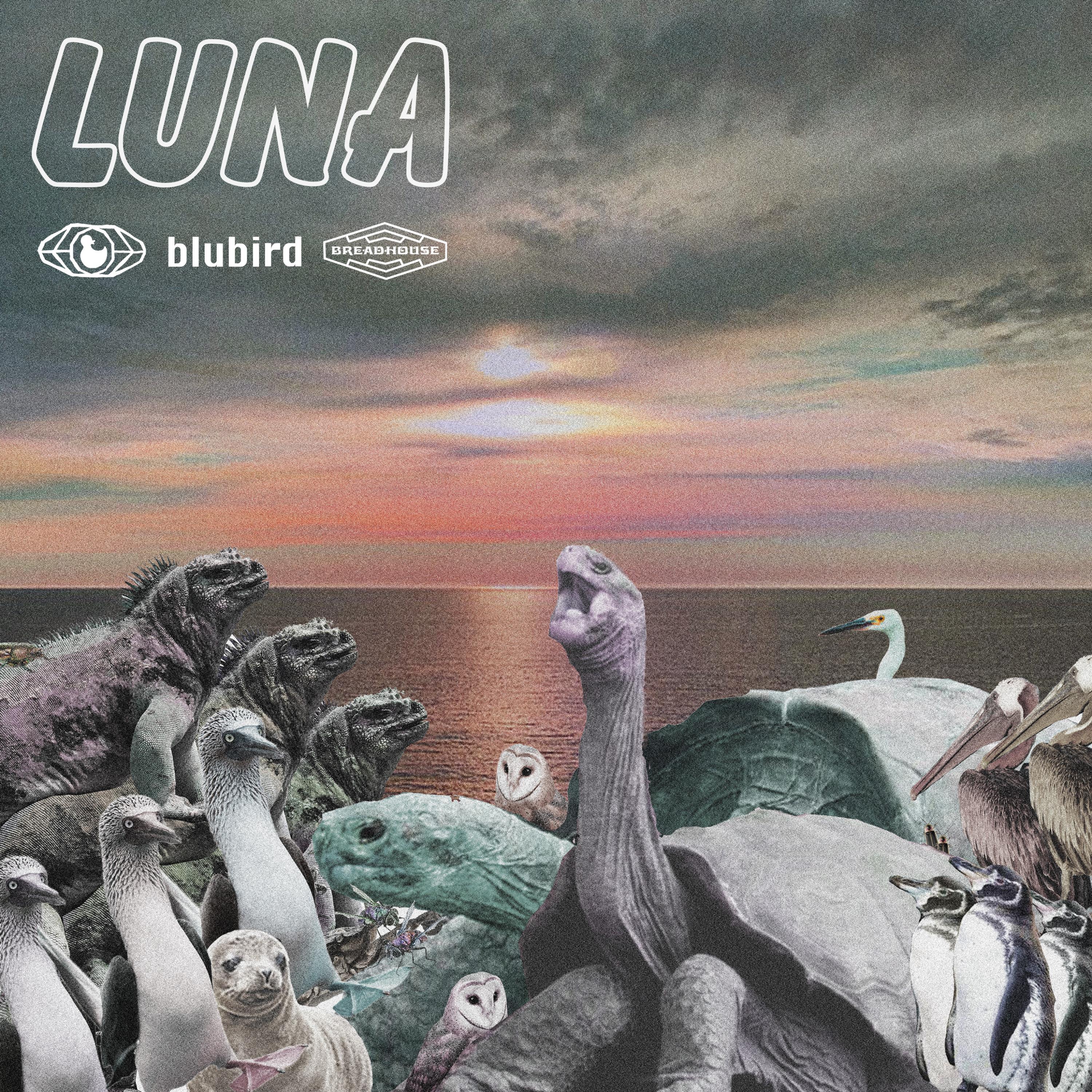 Luna