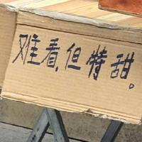 10 無缺公子(明珠求瑕角色曲)