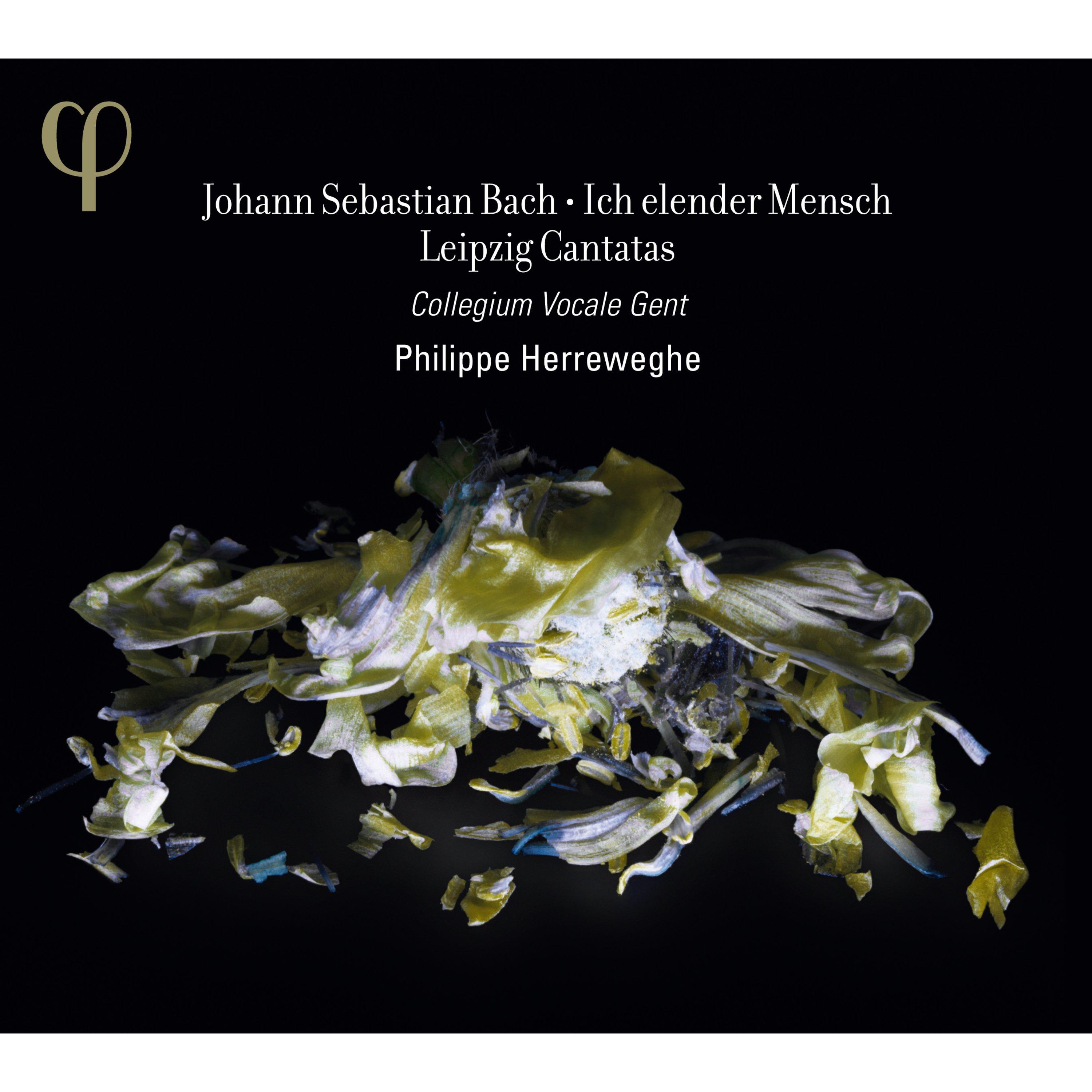 Bach: Ich elender Mensch & Leipzig Cantatas