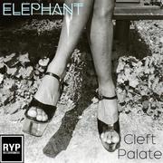 Cleft Palate专辑