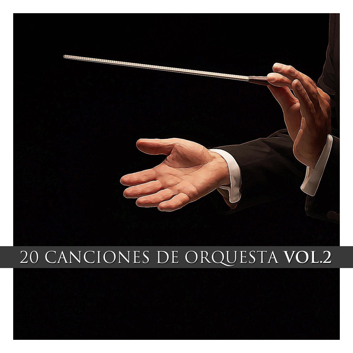 20 Canciones de Orquesta Vol. 2专辑