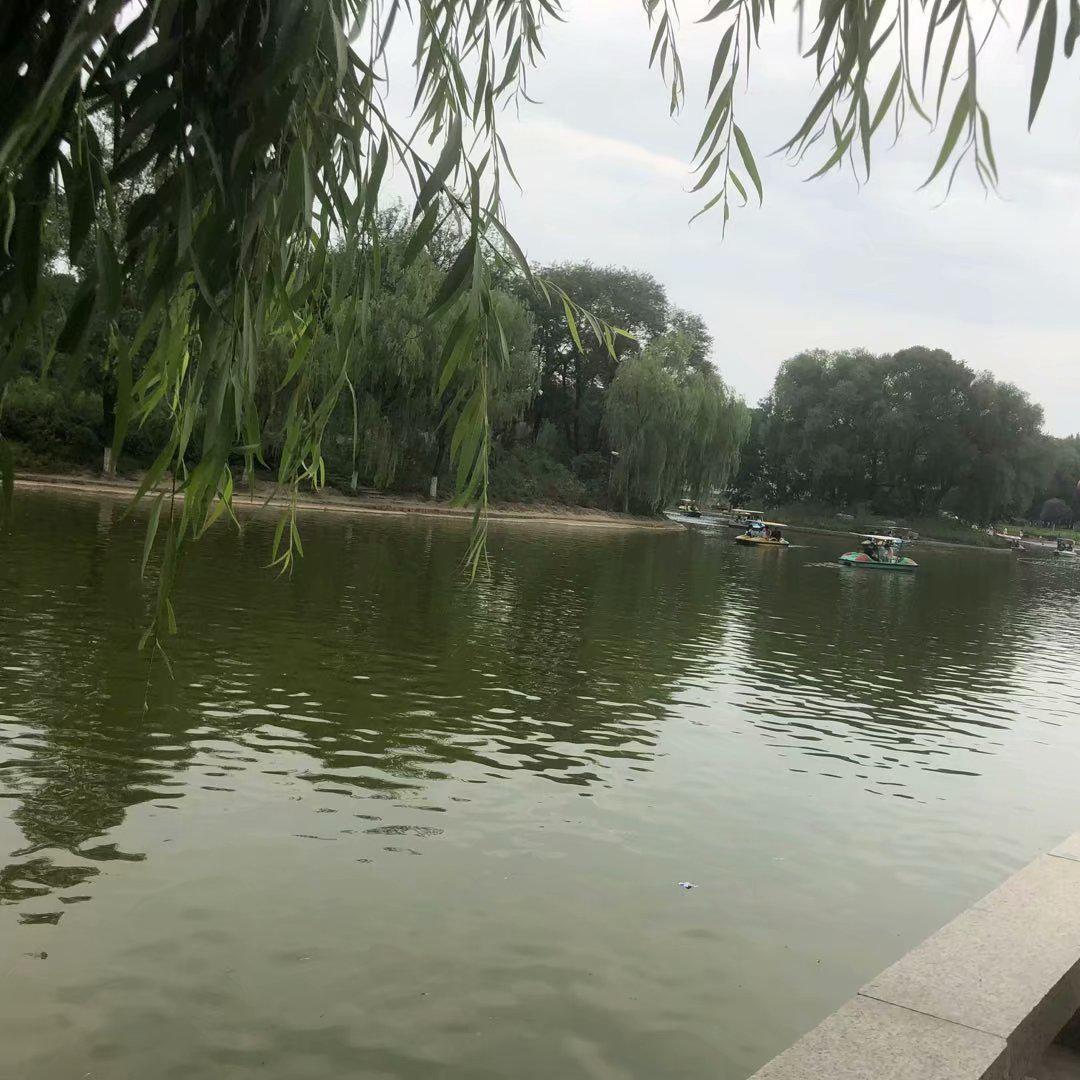 枕边童话