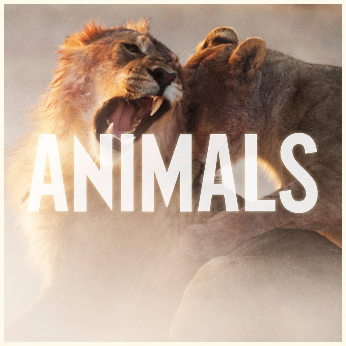 Animals (DJAbduMiJiT Remix)专辑
