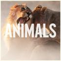 Animals (DJAbduMiJiT Remix)专辑