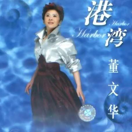董文华歌曲封面