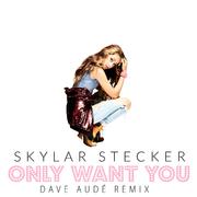 Only Want You (Dave Audé Remix)