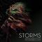 Earth Tones: Storms专辑