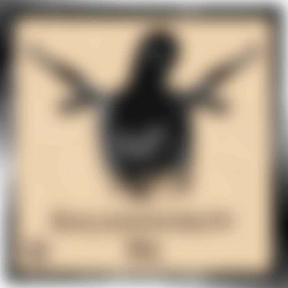 Voyage (Original Mix)