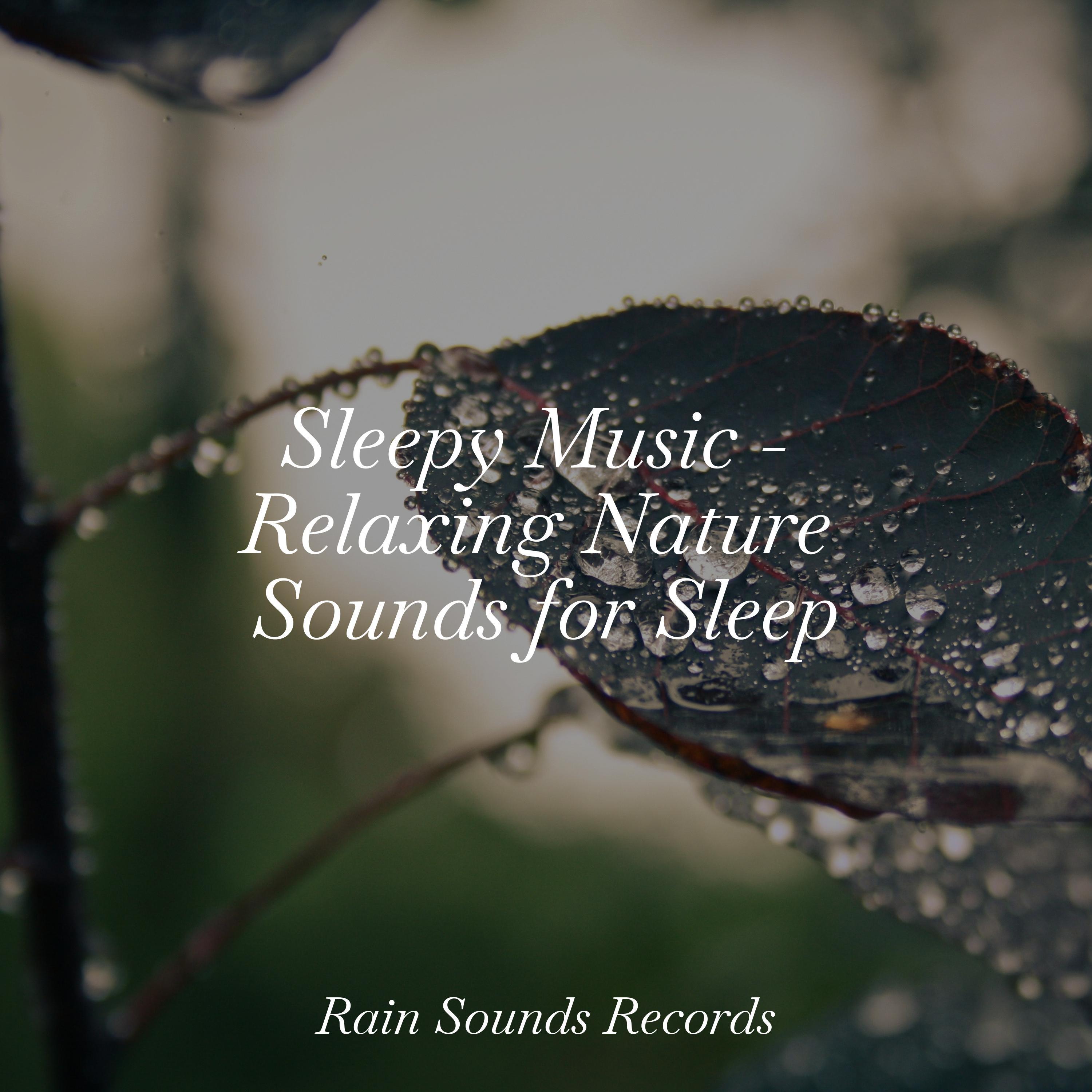 Sleepy Music - Relaxing Nature Sounds for Sleep