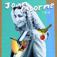 Joan Osborne - Right Hand Man (karaoke)