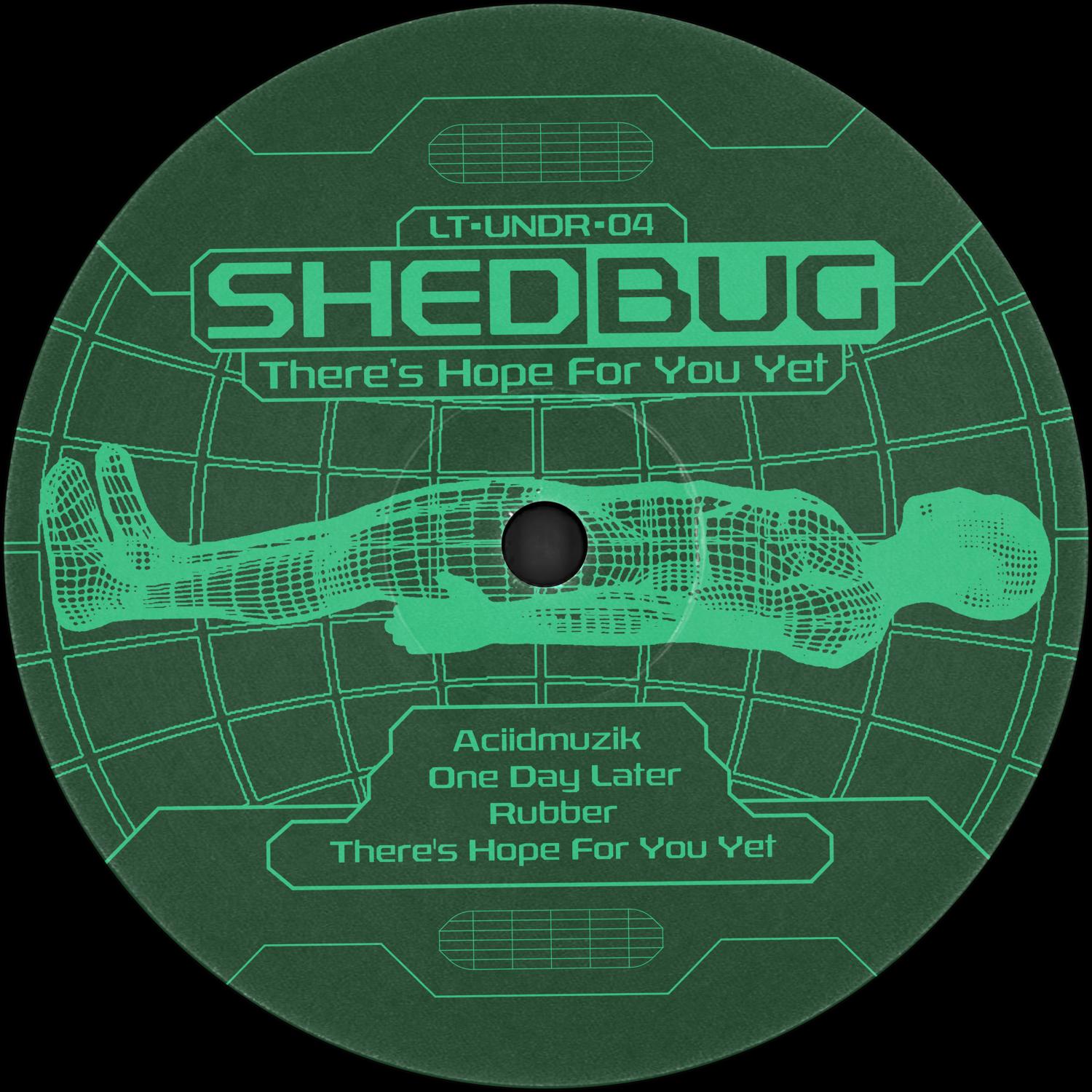 Shedbug - One Day Later