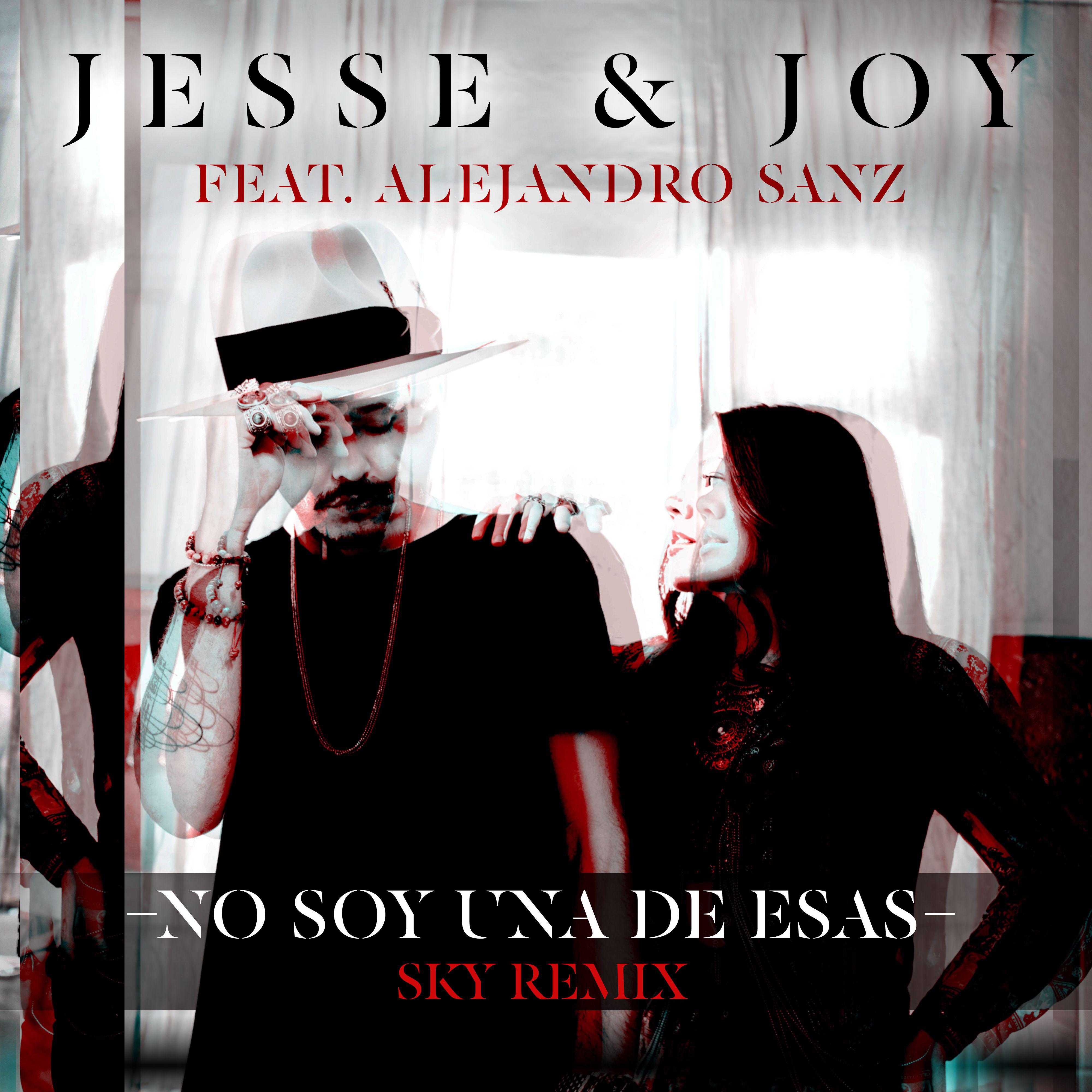 No Soy Una De Esas (feat. Alejandro Sanz) [Sky Remix]专辑