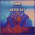 Never Say