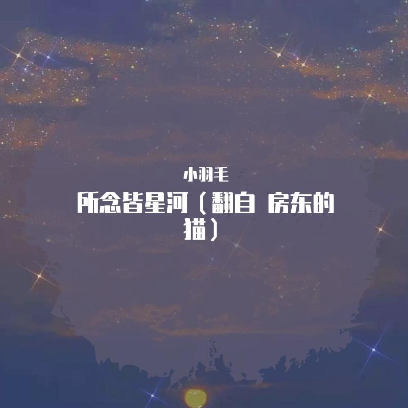 所念皆星河