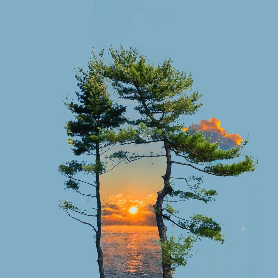 兔子氛围感