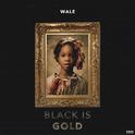 Black Is Gold专辑