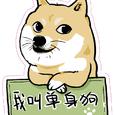 姐姐说（现场版）