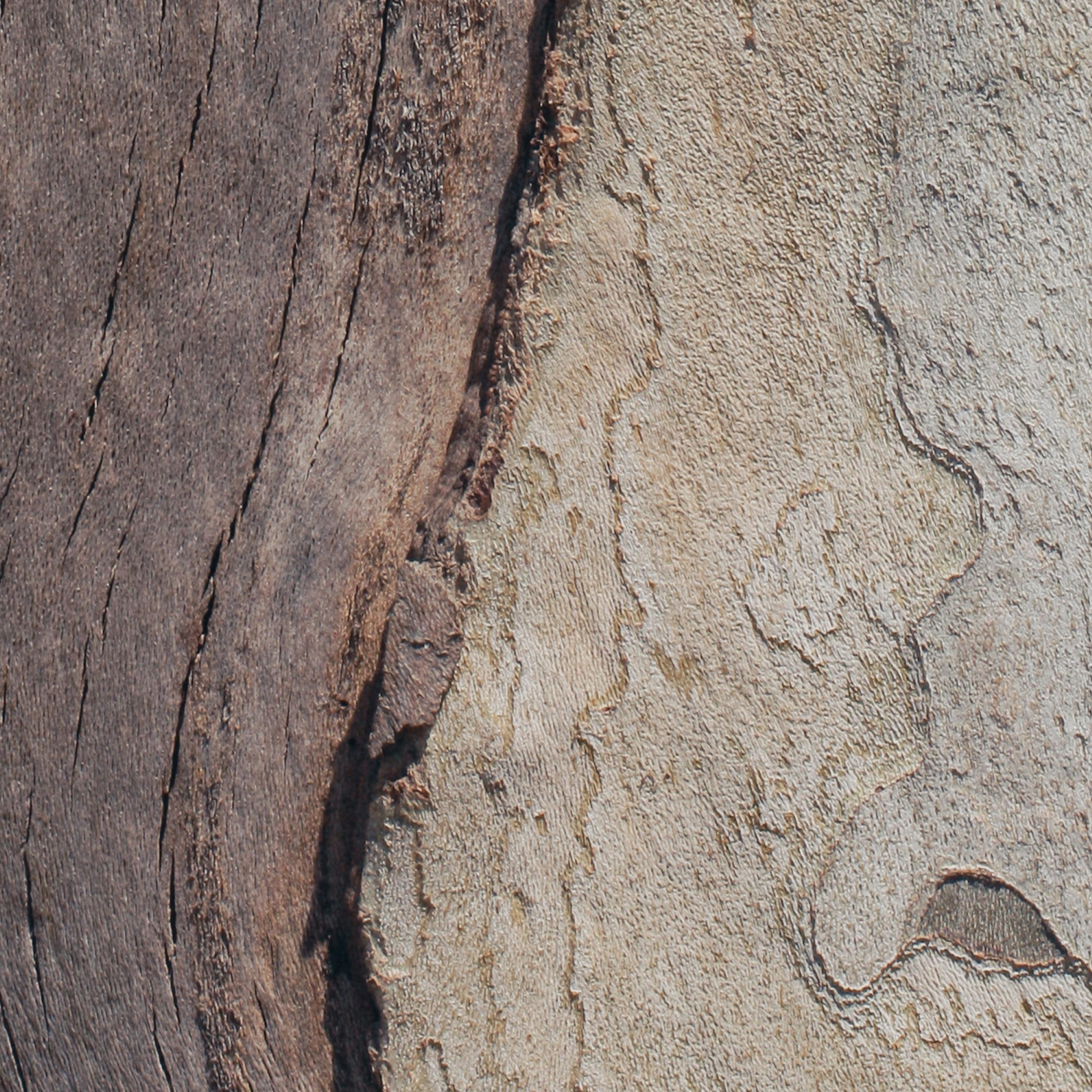Insight XLIV