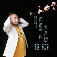 天籁天 - 我是雪花你是梅(DJ版伴奏)