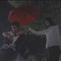 Please love me专辑