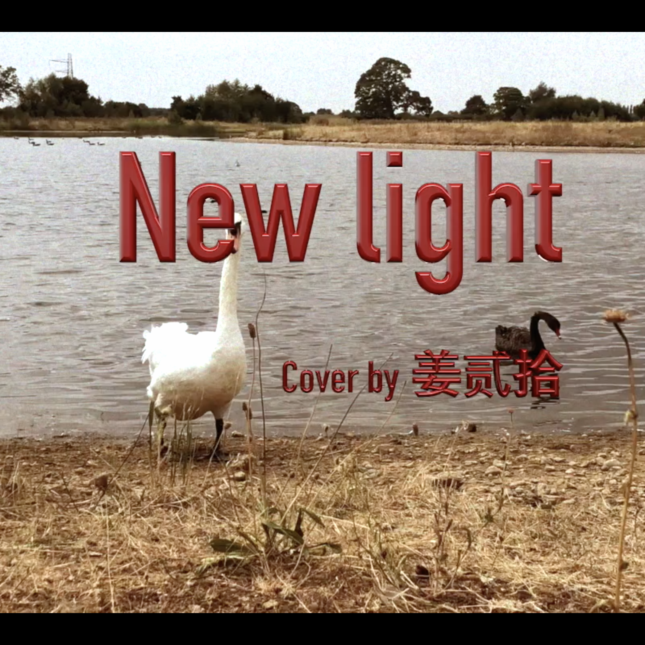 New light专辑