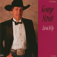 George Strait - Someone Had To Teach You (karaoke)