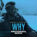 Why (Mastiksoul Remix)专辑