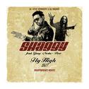 Fly High 2k17 (Heartbreakz Remix)专辑