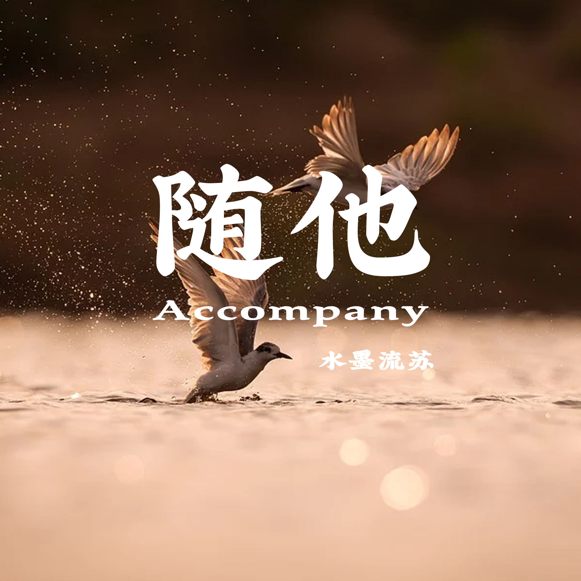随他（Accompany）