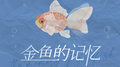 金鱼的记忆专辑