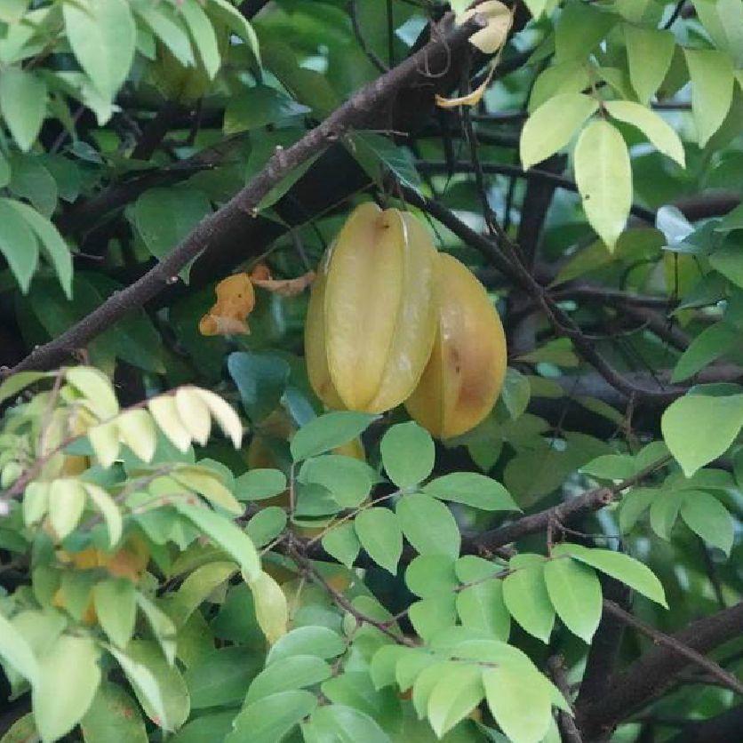 回忆怎么删-L（桃籽）