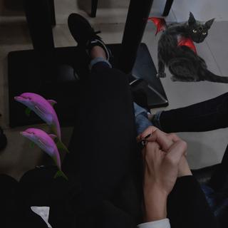 一箱可爱多鸭